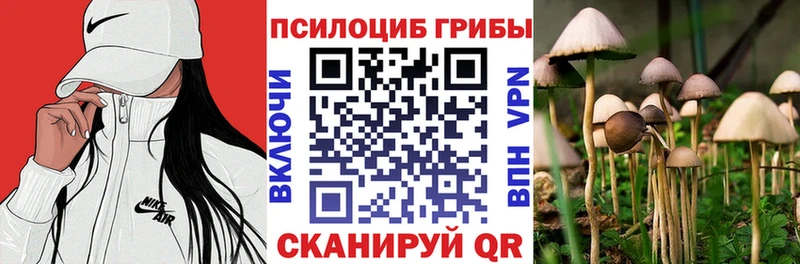 купить наркотики сайты Усмань Псилоцибиновые грибы Psilocybine cubensis